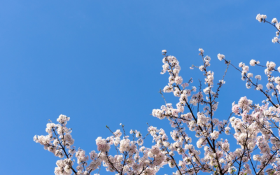 Szczepionka dTap – skuteczna ochrona przed tężcem, błonicą i krztuścem