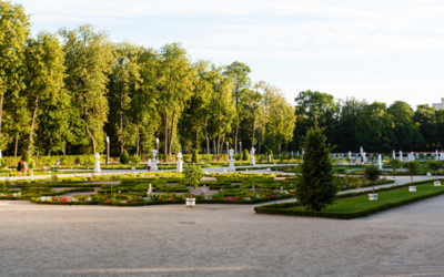 Przyszła wiosna… i obudziła kleszcze. Zaszczep się przeciw KZM!